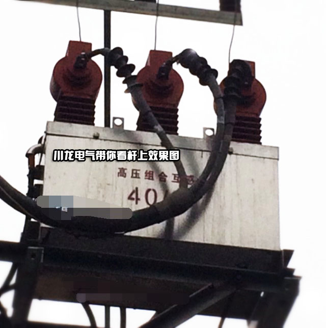 <b>YFJLSZ-10高壓預(yù)付費(fèi)計(jì)量開(kāi)關(guān)ZW32J</b>