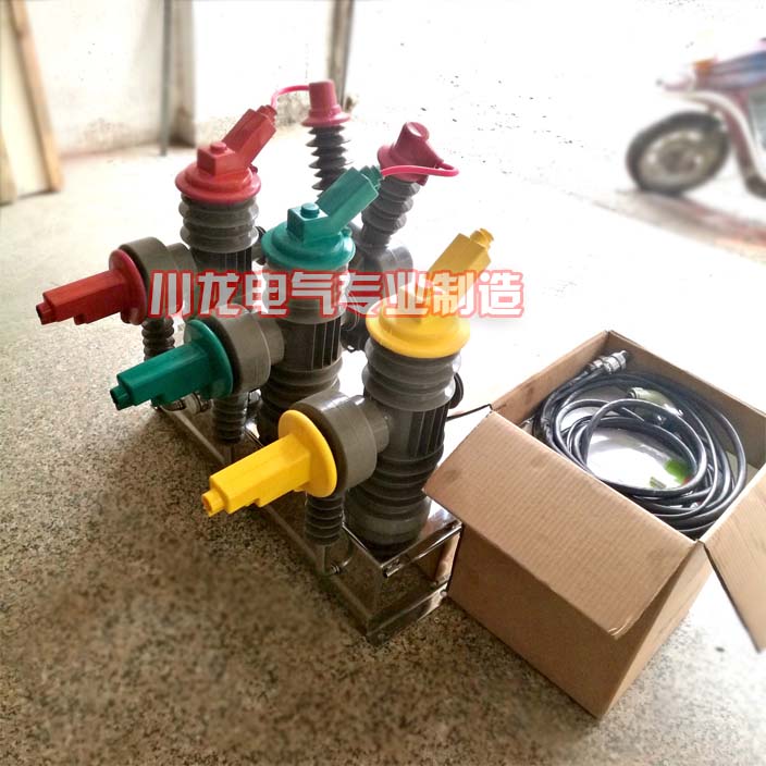 ZW43-12F看門狗用戶分界開關