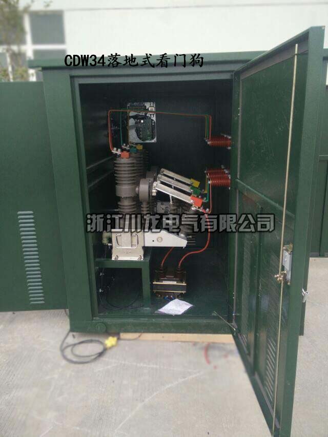 CDW34落地式看門狗分界開關
